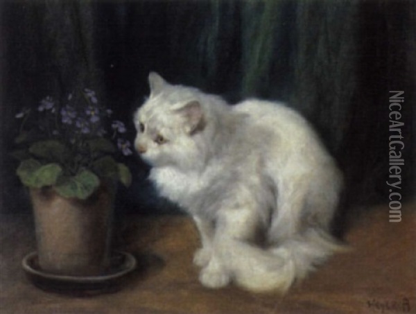 Katze Und Blumentopf Oil Painting - Arthur Heyer