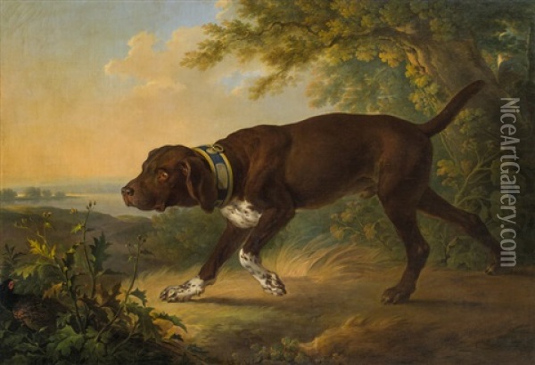 The Hound Of Duke Albert Of Saxony-teschen Oil Painting - Martin Ferdinand Quadal