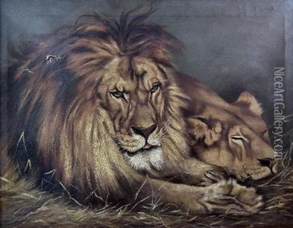 Recumbent Lion And Lioness Oil Painting - J.C. Partridge