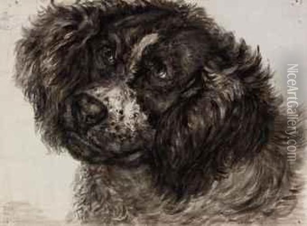 Study Of A Dutch Partridge Dog Oil Painting - Jan Dasveldt