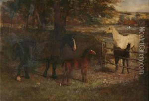 Weide Met Paarden En Veulens Oil Painting - David George Steell