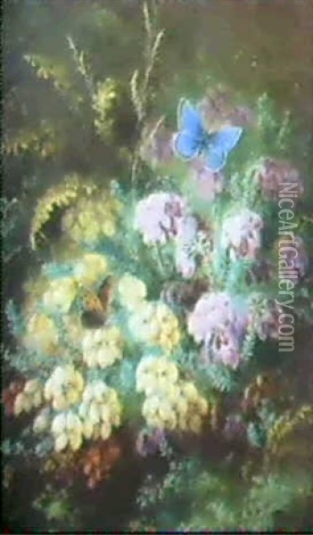 Still Lives With Butterflies And Flowers Oil Painting - Albert Durer Lucas