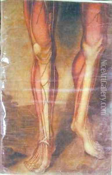 Musculature of the legs Oil Painting - Jacques - Fabien Gautier - Dagoty