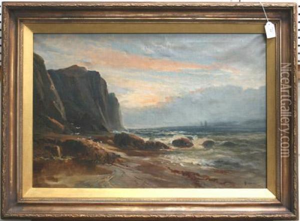 Coastal View With Waves Crashing Against Rocks Near Gannets Oil Painting - James Morris Davies