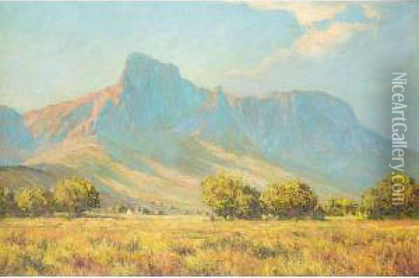 Groot Drakenstein, South Africa Oil Painting - Tinus De Jong