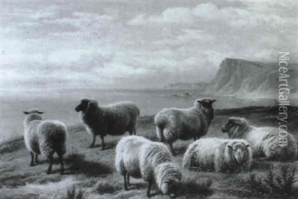 Sheep On A Devonshire Coast Oil Painting - Charles Jones