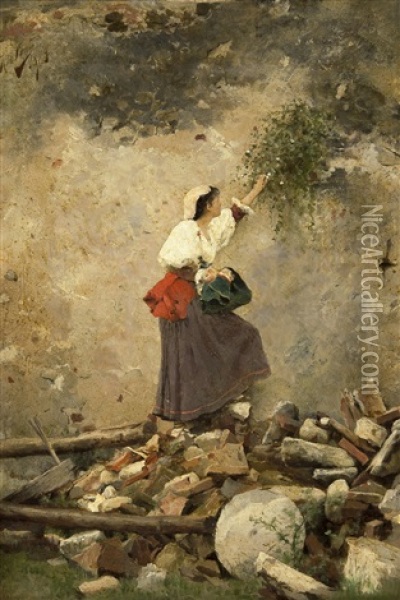 Kvinne Som Plukker Blomster Oil Painting - Tito Conti