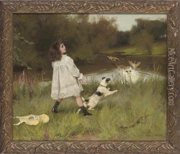 Chasing The Ducks Oil Painting - Arthur Wardle