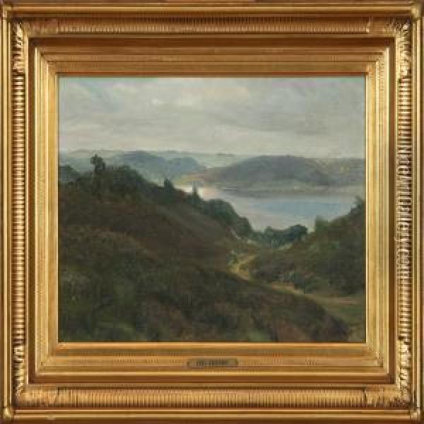View Ower A Hilly Scnery With A Lake Oil Painting - Hans Agersnap