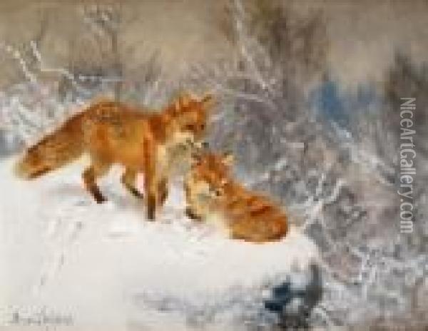 Two Foxes In Winter Landscape Oil Painting - Bruno Andreas Liljefors