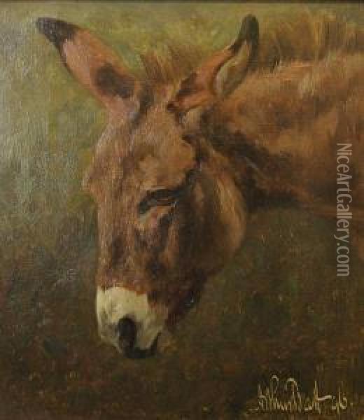 The Donkey Oil Painting - Arthur Batt