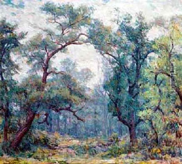 Old Willows Oil Painting - Robert Reid
