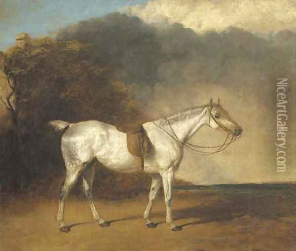 A saddled grey hunter in a landscape Oil Painting - Abraham Cooper