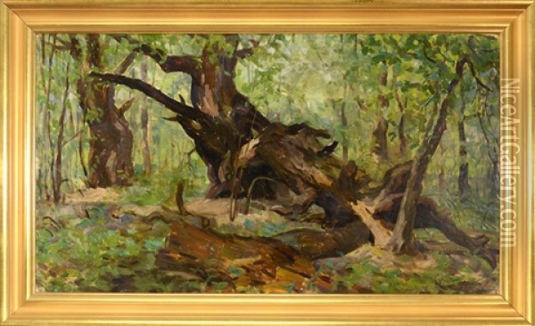 Forest Interior Oil Painting - Leon Wyczolkowski