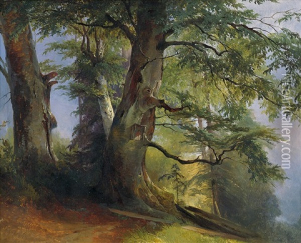 Waldpartie Oil Painting - Georg Geyer