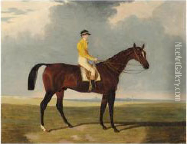 A Bay Racehorse With Jockey Up, A Racecourse Beyond Oil Painting - Charles Bilger Spalding