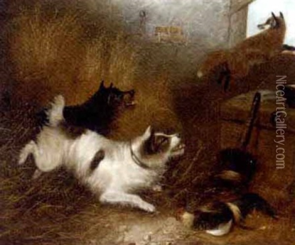 Terriers Chasing A Fox In A Barn Oil Painting - Edward Armfield