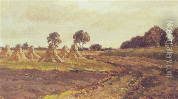 A Summer Landscape With Hay Stacks Oil Painting - Willem Roelofs