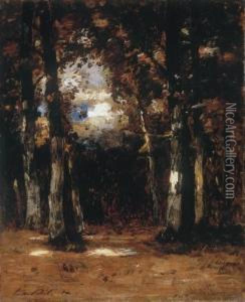 Forest Scene Of Barbizon Oil Painting - Laszlo Paal