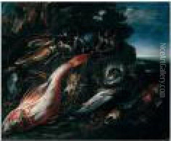 Still Life Of Salt Water Fish, Shellfish, And A Lobster Oil Painting - Nicola Maria Recco