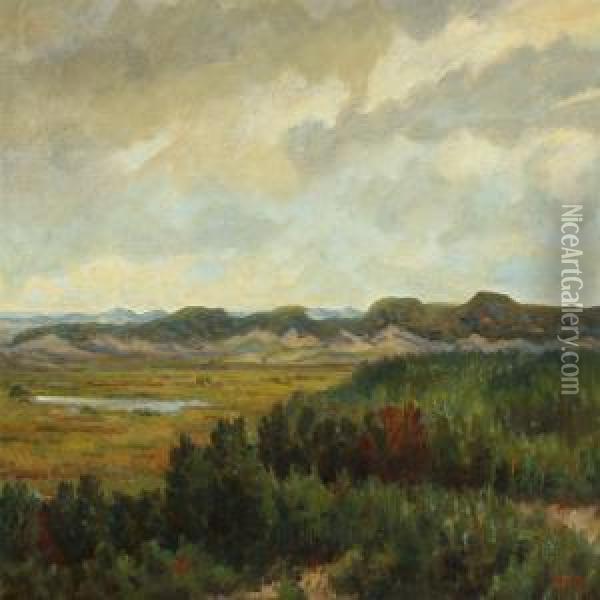 Landscape From Skagen With View Over Dunes Oil Painting - Johannes Martin Fastings Wilhjelm