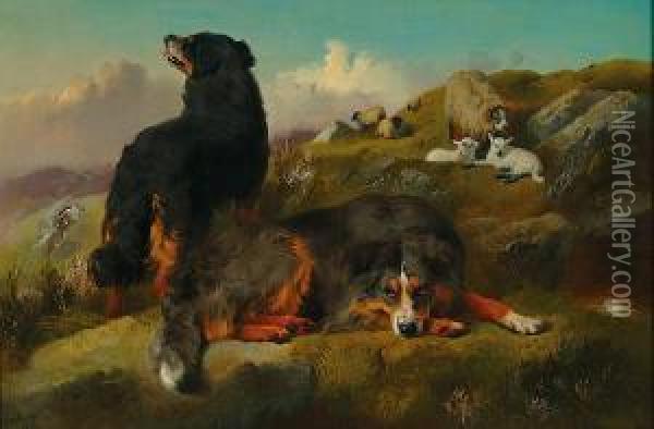 Bernese Mountain Dogs On Guard Over Their Flock Oil Painting - George W. Horlor