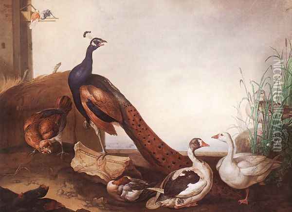 Peacock with Geese and Hen Oil Painting - Jakab Bogdany