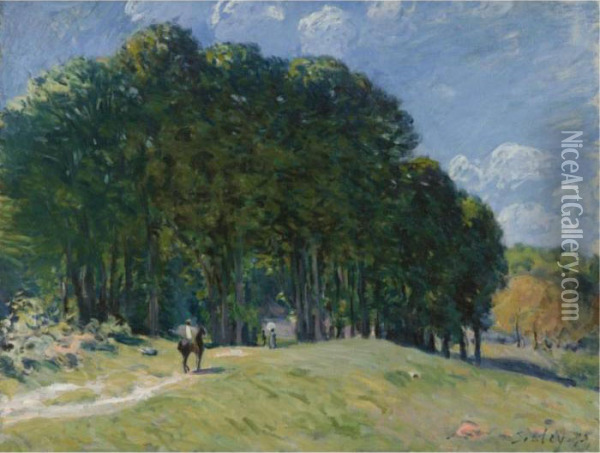Cavalier En Lisiere De Foret Oil Painting - Alfred Sisley