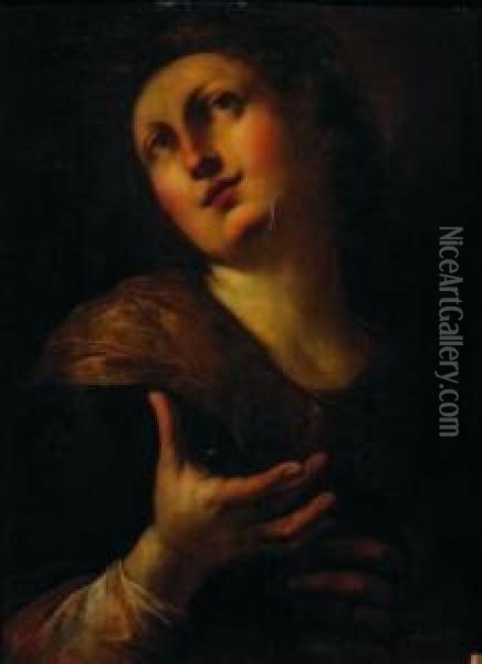 Santa Filomena Martire Oil Painting - Giulio Cesare Procaccini