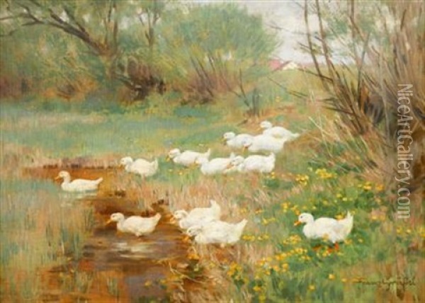 Ducks Crossing A Brook Oil Painting - Franz Graessel