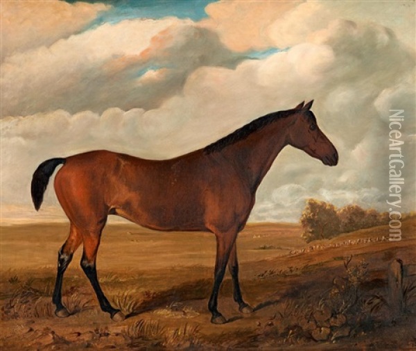 Bildnis Eines Englischen Vollblutes Oil Painting - William Smith