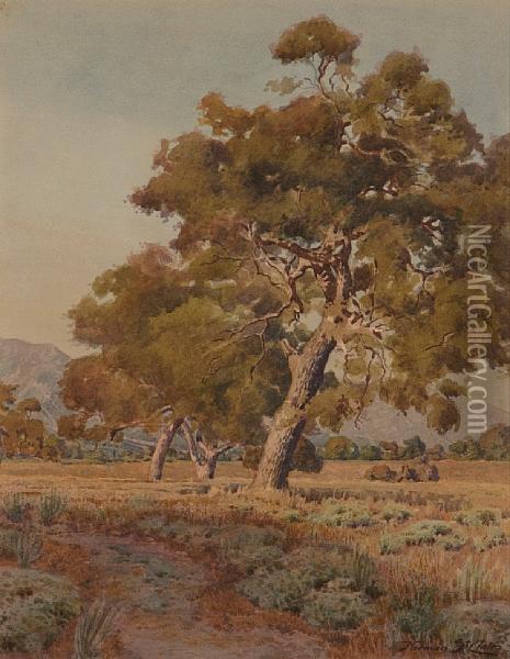 Trees Near Santa Barbara Oil Painting - Norman Saint-Clair