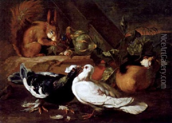 Zwei Tauben Und Ein Eichhorchen In Einer Landschaft Oil Painting - Giovanni Agostino (Abate) Cassana