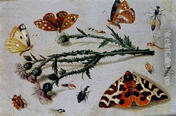 Etudes D'insectes Oil Painting - Jan van Kessel the Elder