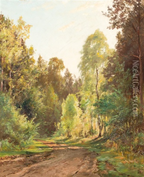 Waldweg In Sonnenlicht Und Schatten Oil Painting - Gustav Koken
