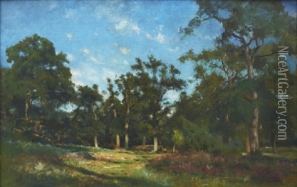 Franskt Skogslandskap Om Sommaren - Fountainbleau Oil Painting - Johan Ericson