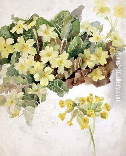 Study of Primroses and Cowslips Oil Painting - Laura Darcy Strutt