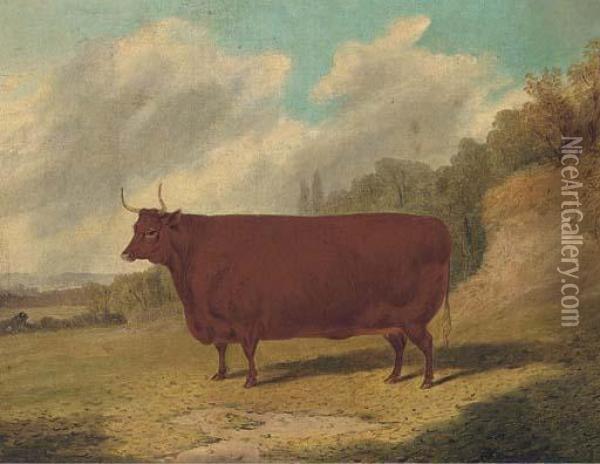 A Prize Cow In An Extensive Landscape Oil Painting - Richard Whitford