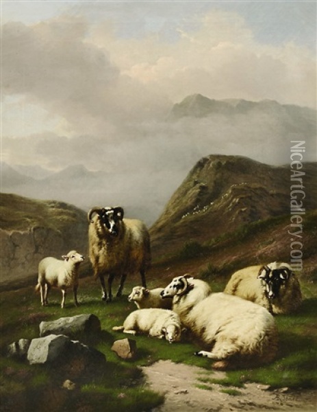 Schafe Auf Der Weide Oil Painting - Daniel-Adolphe-Robert Jones