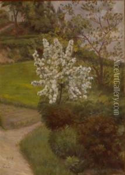 Blossoming Tree Oil Painting - Caroline Van Deurs
