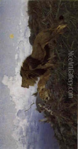 Lions At Dusk Oil Painting - Wilhelm Friedrich Kuhnert