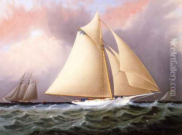 Yacht under Full Sail Oil Painting - James E. Buttersworth