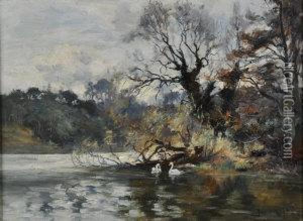 Swans At A Riverbank Oil Painting - Joseph Milner