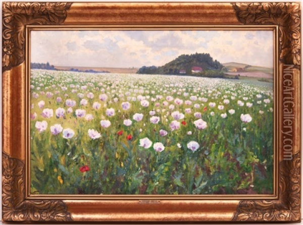 Blooming Meadow Oil Painting - Vaclav Jansa