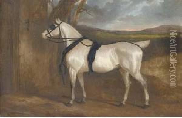 A Grey Carriage Horse Oil Painting - Charles Hancock