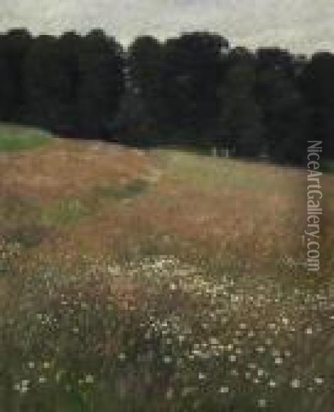 Floral Summer Landscape. Signed And Dated Lower Left: H.r.v. Volkmann 1900 Oil Painting - Hans Richard Von Volkmann