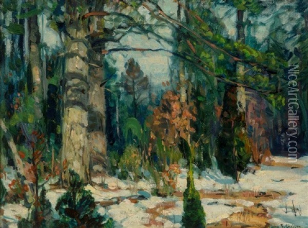 Forest Quiet Oil Painting - John Fabian Carlson