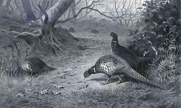 Pheasant on a woodland path, late Autumn Oil Painting - Archibald Thorburn