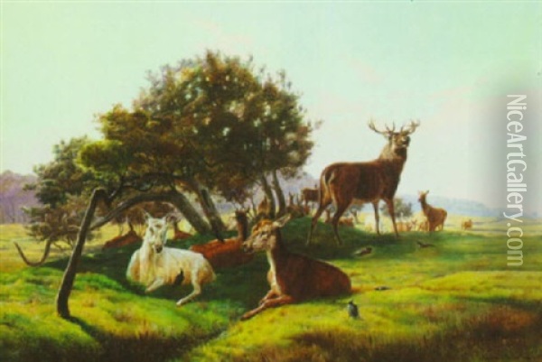 Deer Herd In The Fields Oil Painting - Simon Simonsen