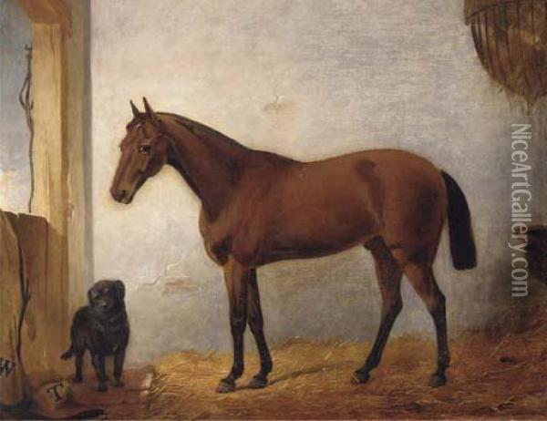 A Chestnut Hunter With A Black Labrador In A Stable Oil Painting - John Frederick Herring Snr